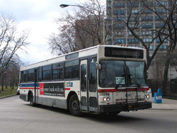 Bus #4241 at Foster and Marine working route #146 Inner Drive/Michigan Express on March 11, 2004.