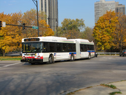 Bus #4000 at Stockton and Fullerton working route #156 LaSalle on November 4, 2008.