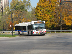 Bus #4006 at Stockton and Fullerton working route #156 LaSalle on November 4, 2008.