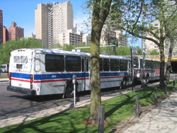 Bus #4916 in Hyde Park on May 10, 2005.