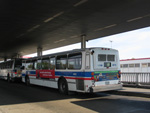 Bus #4919 (former Pace #2099) at 95th and Dan Ryan on October 30, 2005. (Photo by Michael Pompili)