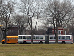 Bus #7360 at Des Plaines and Congress working route #156 LaSalle on March 8, 2004. (Photo by Michael Pompili)